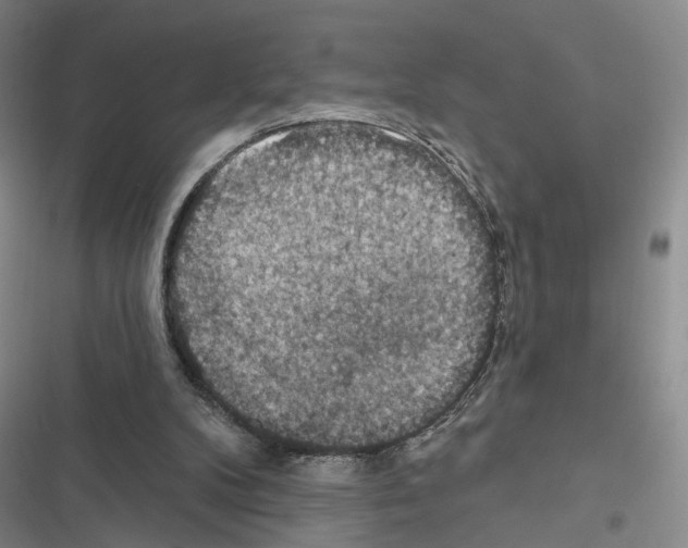 X0000116490104201001201411