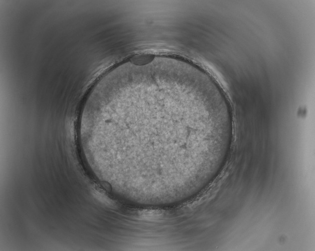 X0000116490105201001201411