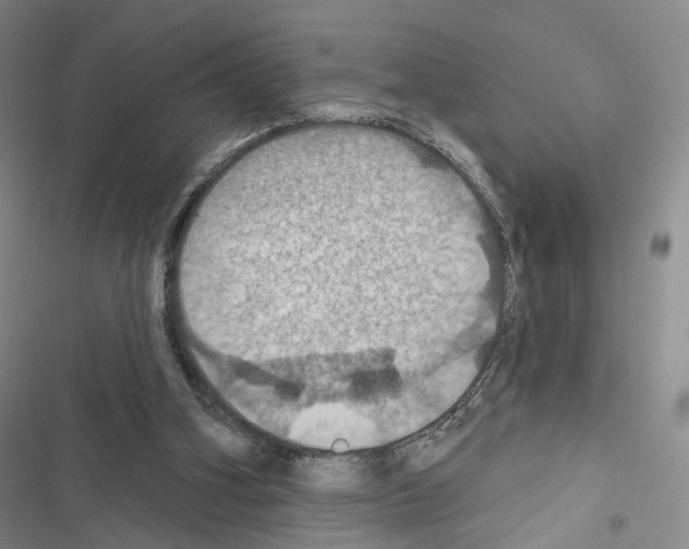 X0000116490106201001201411