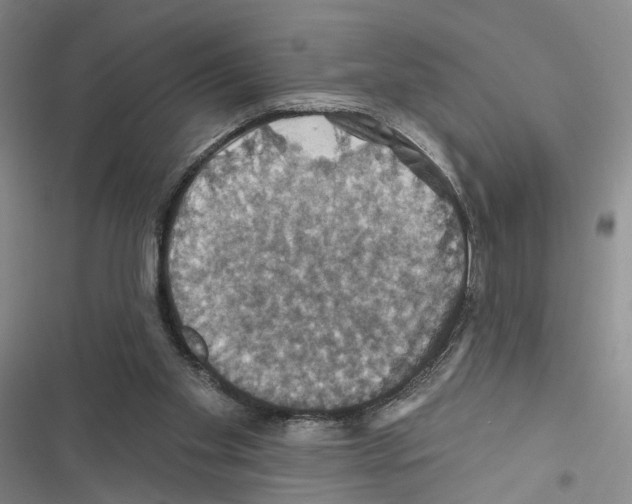 X0000116490109201001201411