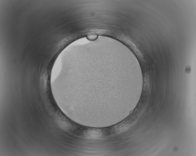 X0000116490110201001201411