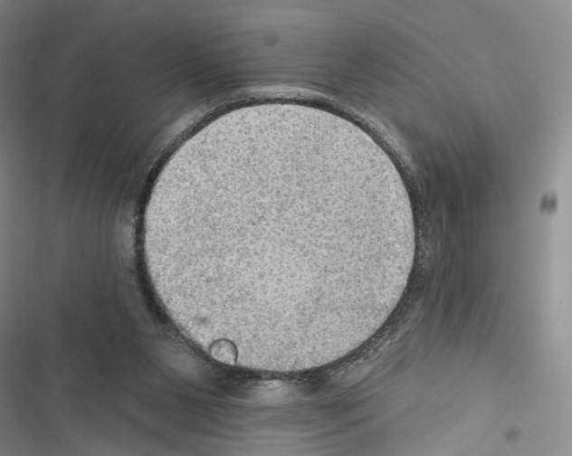 X0000116490111201001201411