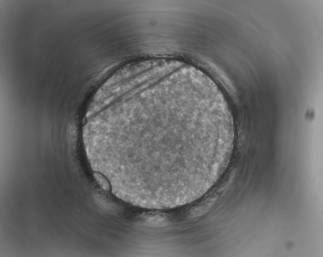 X0000116490113201001201411