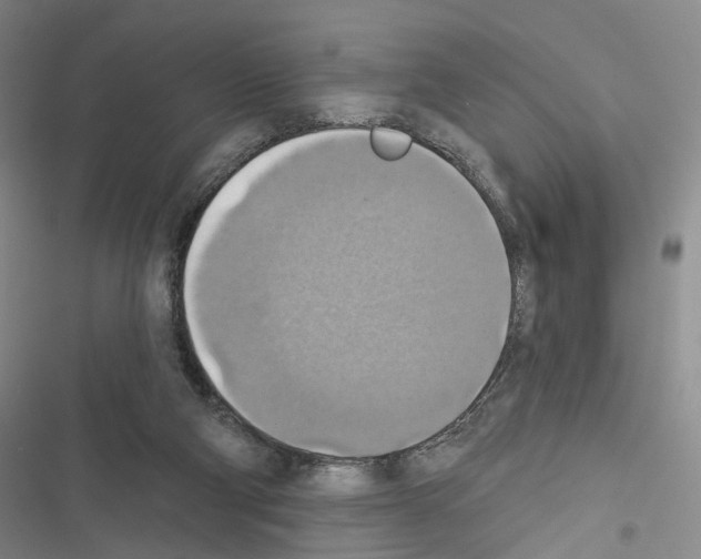 X0000116490114201001201411