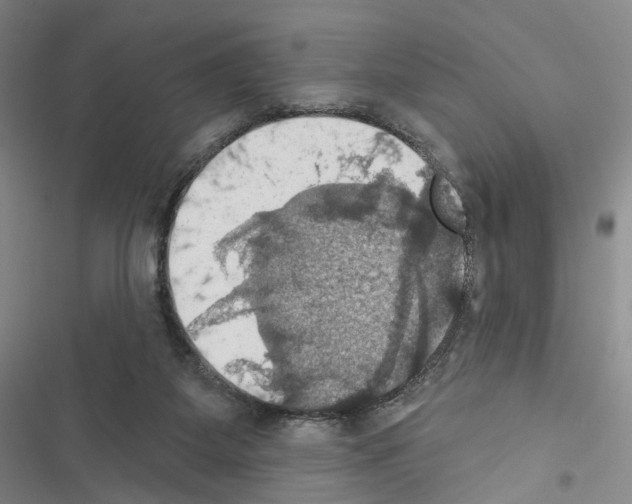 X0000116490115201001201411