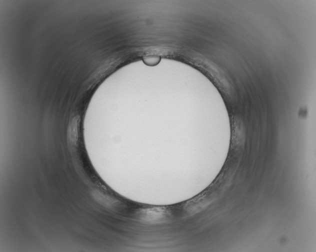 X0000116490118201001201411