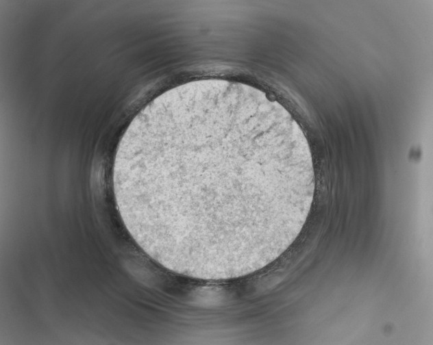 X0000116490119201001201411