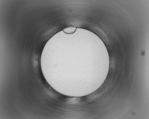 X0000116490122201001201411