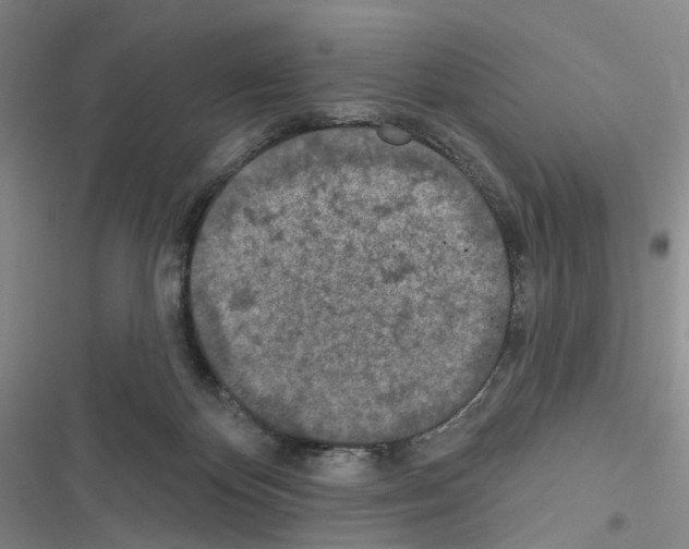 X0000116490124201001201411