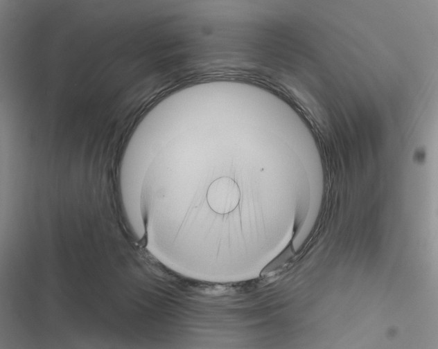 X0000116490125201001201411