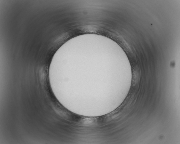 X0000116490126201001201411