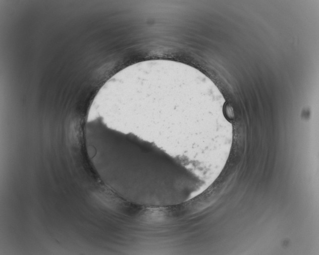 X0000116490127201001201411