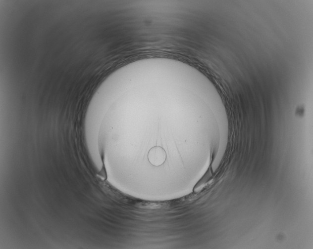 X0000116490129201001201411