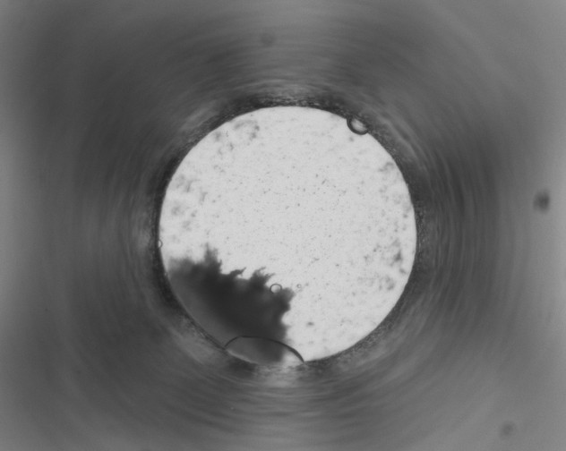 X0000116490131201001201411