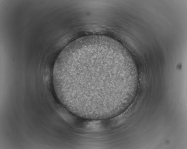 X0000116490132201001201411