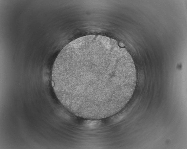 X0000116490135201001201411