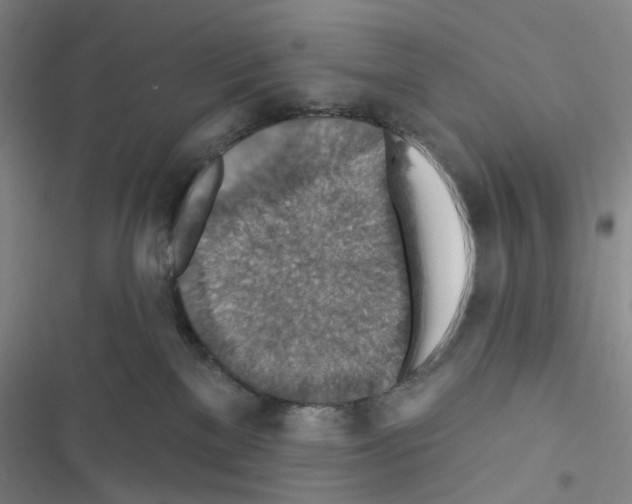 X0000116490137201001201411