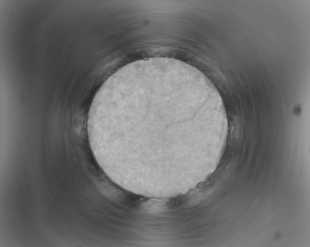 X0000116490138201001201411