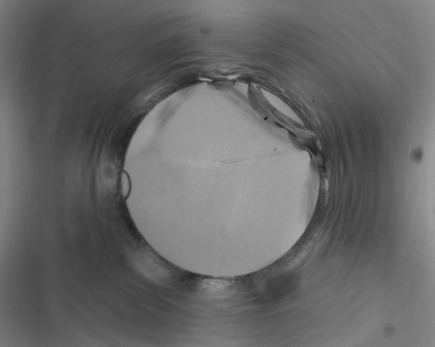 X0000116490139201001201411