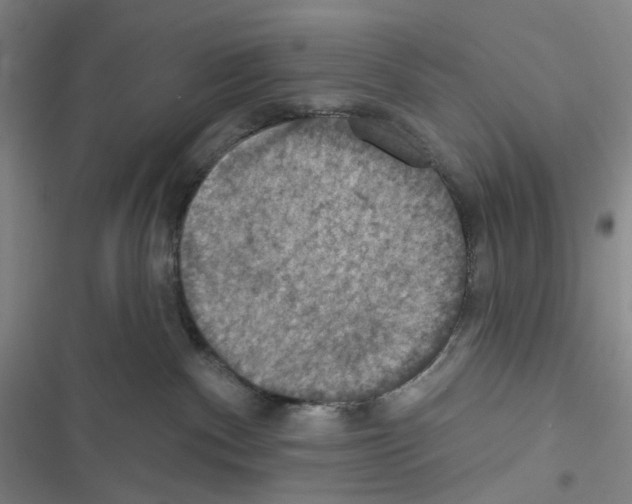 X0000116490140201001201411