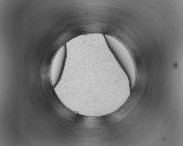 X0000116490141201001201411