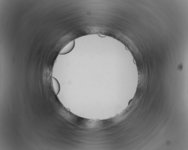 X0000116490142201001201411