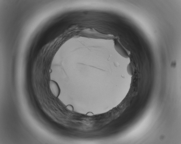 X0000116490143201001201411