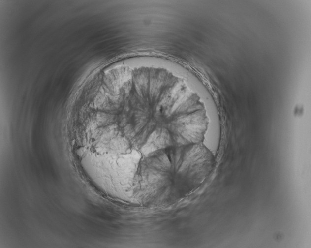 X0000116490145201001201410