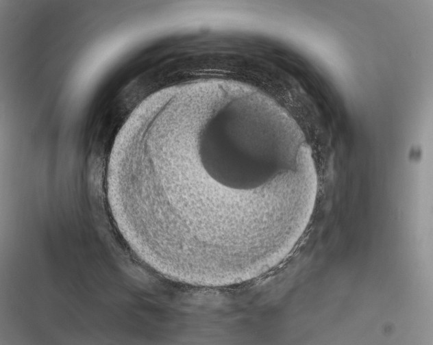 X0000116490146201001201410