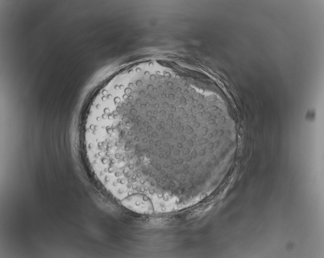 X0000116490149201001201410