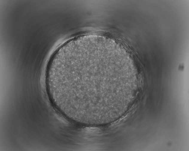 X0000116490150201001201410