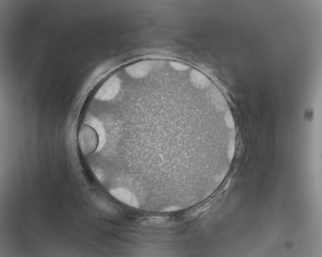 X0000116490151201001201410