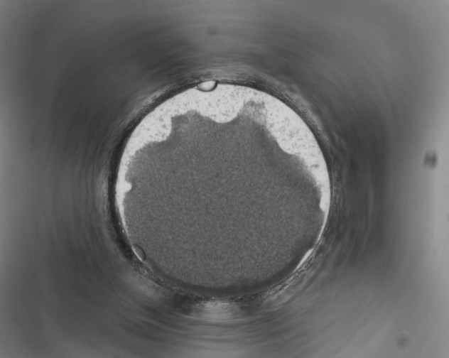 X0000116490154201001201410