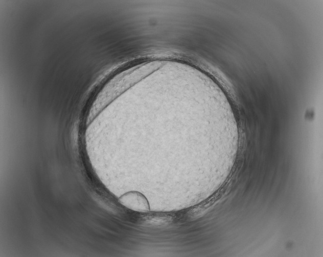 X0000116490155201001201410