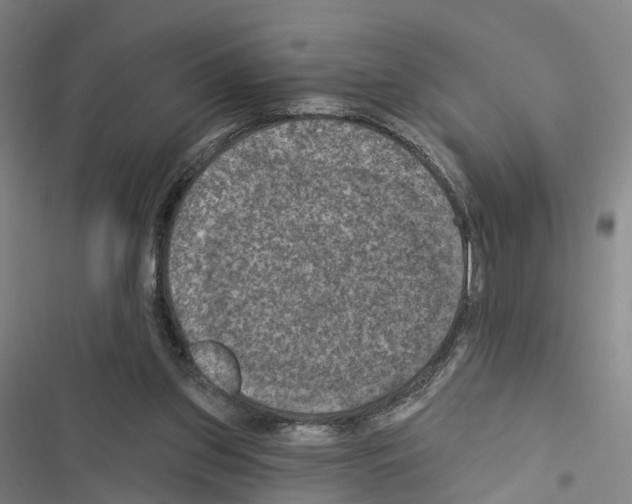 X0000116490157201001201410