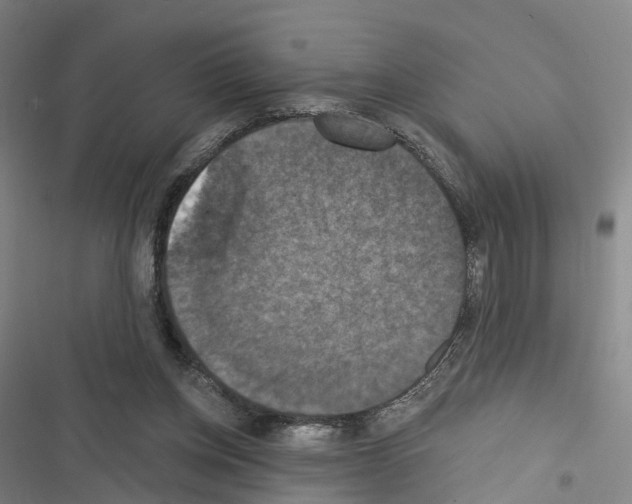 X0000116490158201001201410