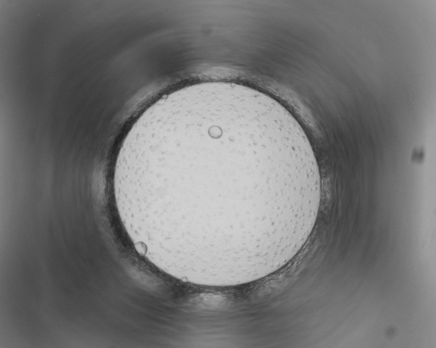 X0000116490159201001201410