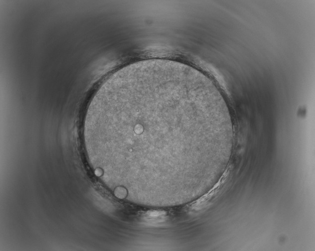 X0000116490162201001201410