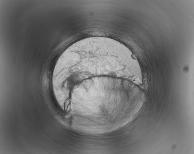 X0000116490165201001201410