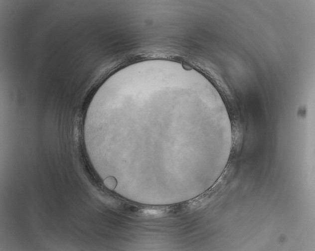 X0000116490167201001201411