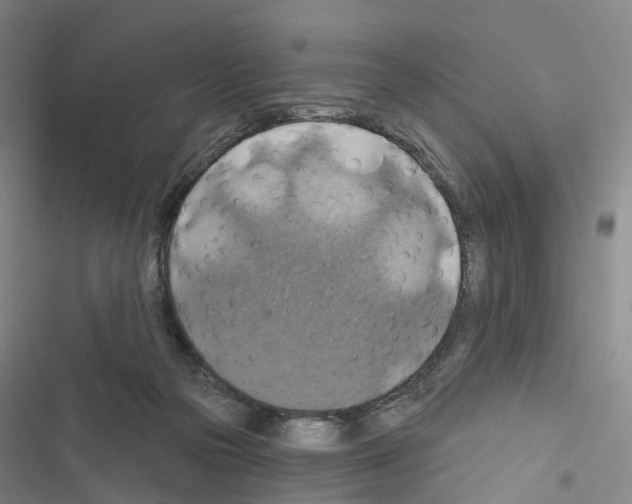 X0000116490169201001201411