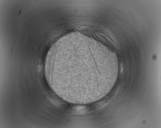 X0000116490173201001201411