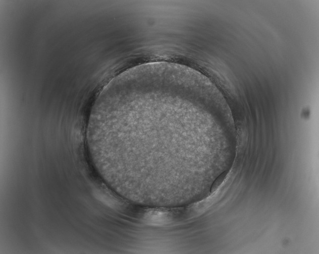 X0000116490174201001201411