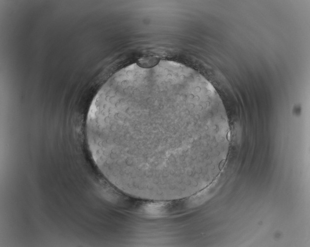 X0000116490178201001201411