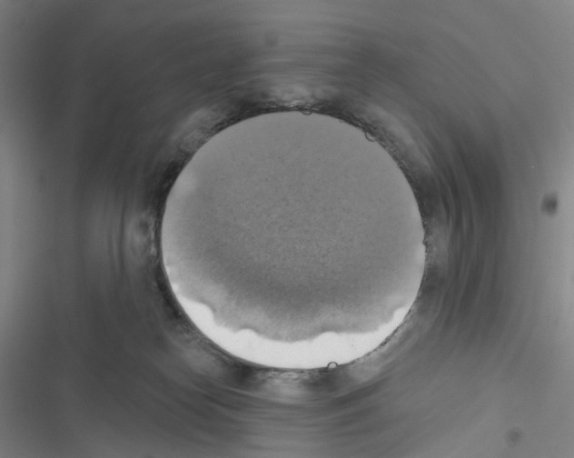 X0000116490182201001201411