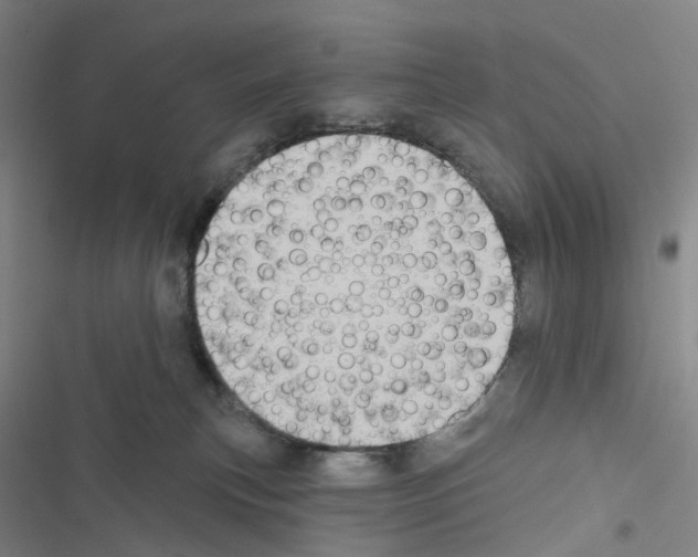 X0000116490183201001201411