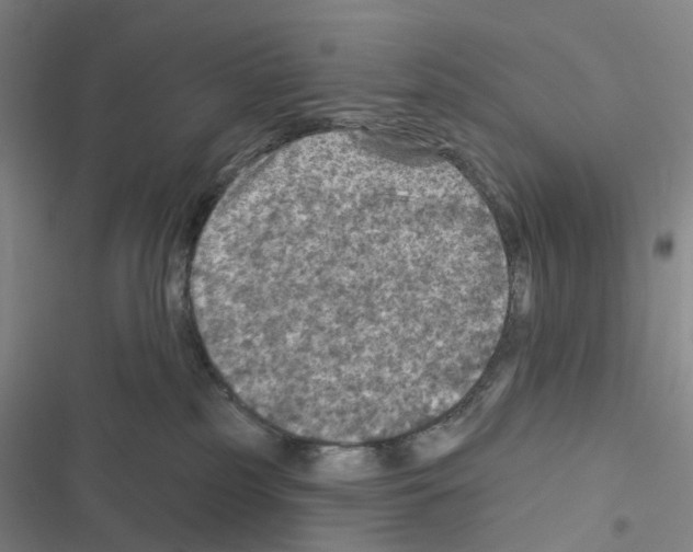 X0000116490185201001201411