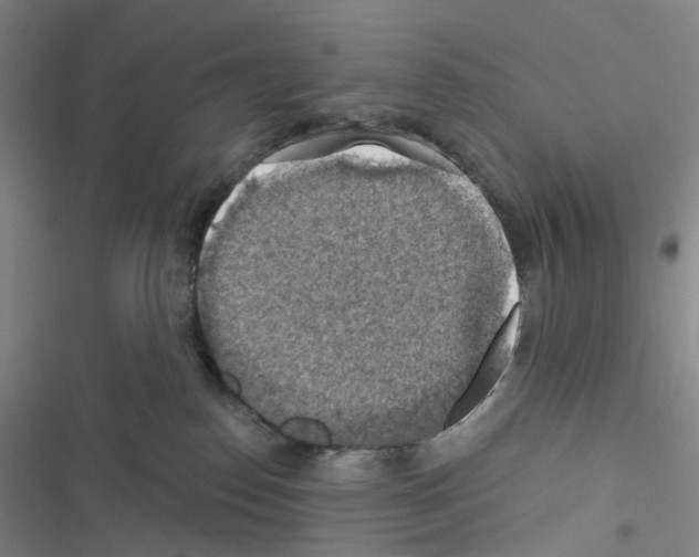 X0000116490186201001201411