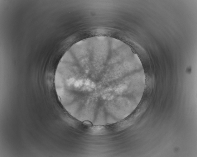 X0000116490189201001201411