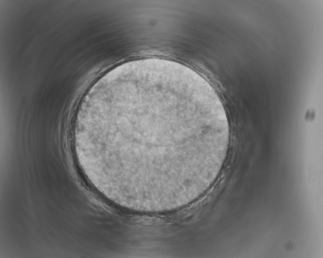 X0000116490193201001201410